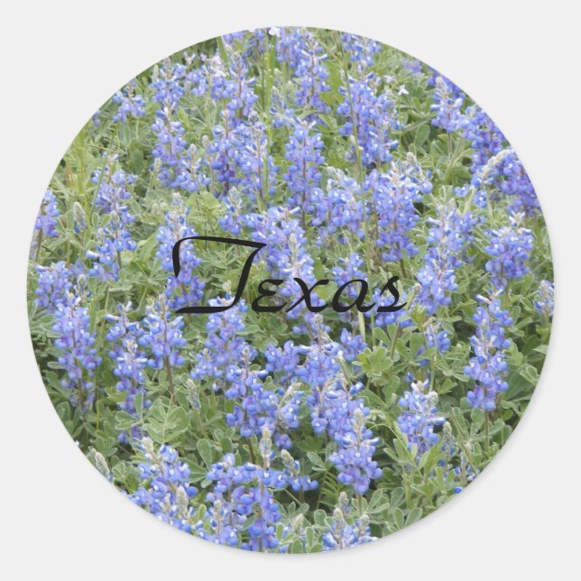 Texas bluebonnet sticker (Front)