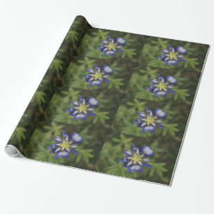 Texas Bluebonnet Wrapping Paper