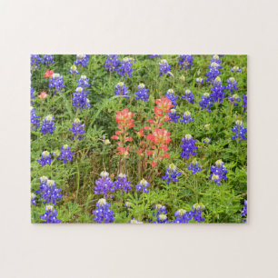 Texas Bluebonnets and Indian Paintbrush Flower Jigsaw Puzzle