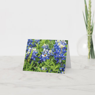 Texas Bluebonnets Card