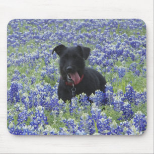 Texas Bluebonnets Field Cute Puppy Dog Photo Mouse Pad