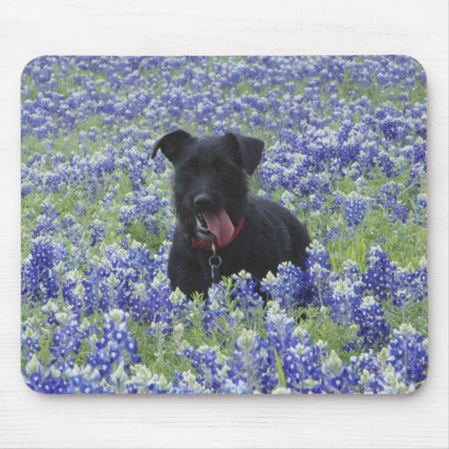 Texas Bluebonnets Field Cute Puppy Dog Photo Mouse Pad (Front)