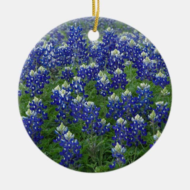Texas Bluebonnets Field Photo Ceramic Tree Decoration (Front)