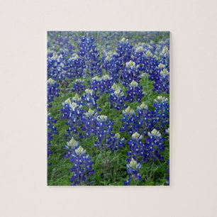 Texas Bluebonnets Field Photo Jigsaw Puzzle