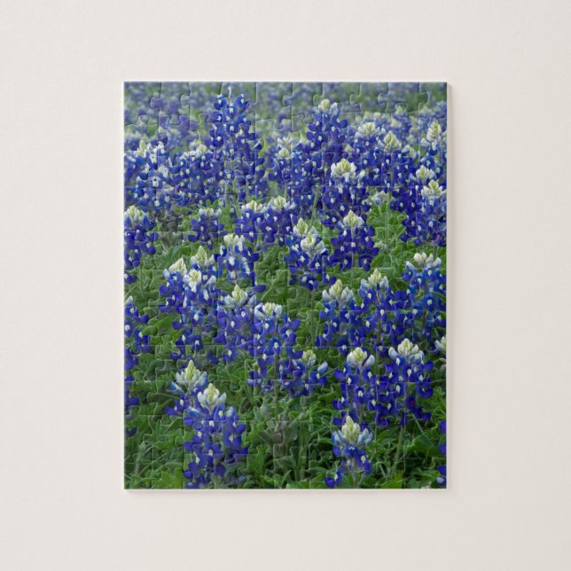 Texas Bluebonnets Field Photo Jigsaw Puzzle (Vertical)