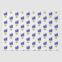 Texas Bluebonnets Flowers,
