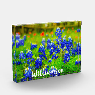 Texas Bluebonnets Indian Paintbrush Family Name Photo Block