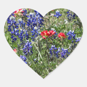 Texas Bluebonnets & Indian Paintbrush Wildflowers Heart Sticker