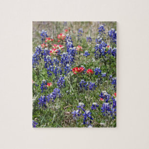Texas Bluebonnets & Indian Paintbrush Wildflowers Jigsaw Puzzle