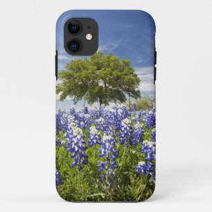 Texas bluebonnets(lupinus texensis) and oak iPhone 11 case