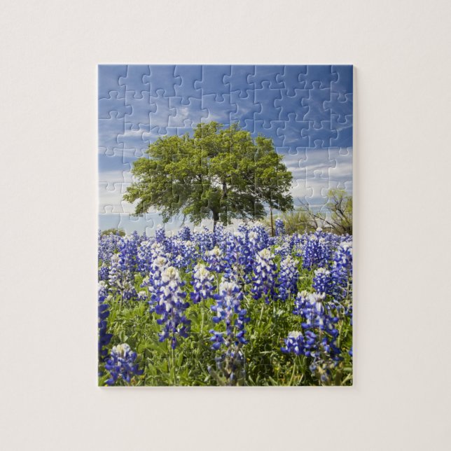 Texas bluebonnets(lupinus texensis) and oak jigsaw puzzle (Vertical)