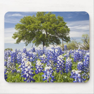 Texas bluebonnets(lupinus texensis) and oak mouse pad