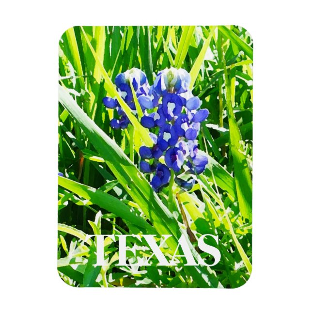 Texas Bluebonnets Magnet (Vertical)