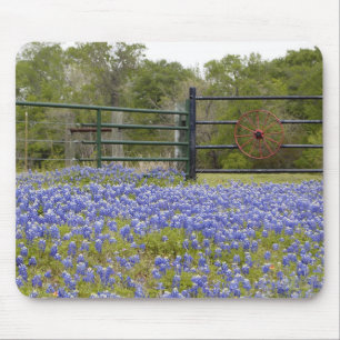 Texas Bluebonnets Mouse Pad