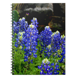 Texas Bluebonnets Note Book