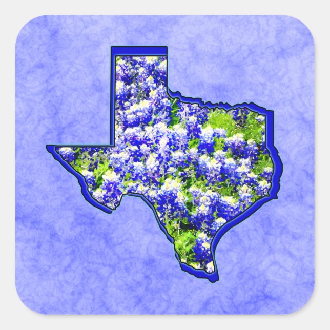 TEXAS BLUEBONNETS SQUARE STICKER (Front)
