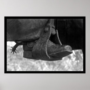 Texas Boot Poster