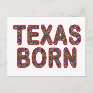 Texas Born Bluebonnet Postcard