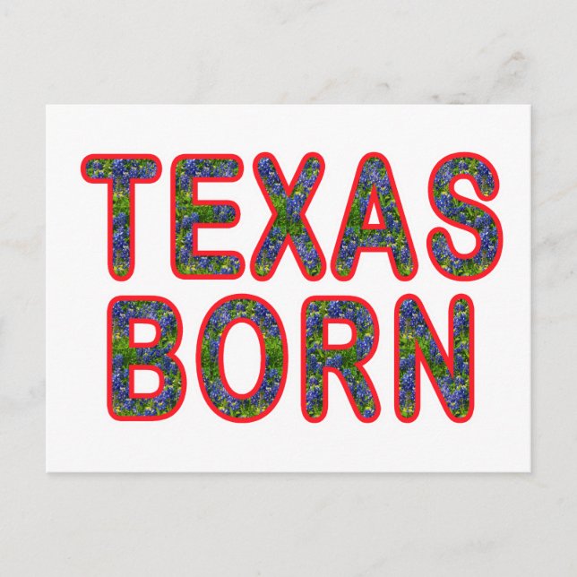 Texas Born Bluebonnet Postcard (Front)