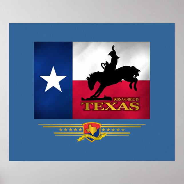 Texas Born & Bred Poster (Front)