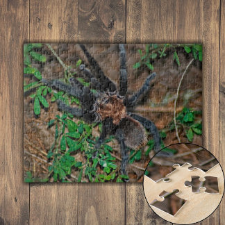 Texas Brown Tarantula Jigsaw Puzzle