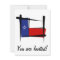 Texas Brush Flag