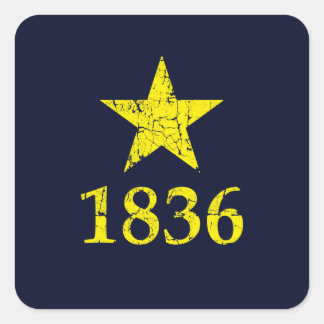 Texas, Burnet Star Historical Flag, Distressed Square Sticker