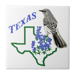 Texas Ceramic Tile