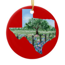 Texas Christmas Ornament