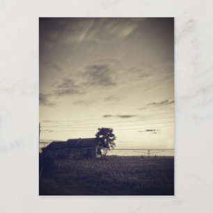 Texas Countryside Twilight Postcard