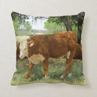 Texas Cow Cushion