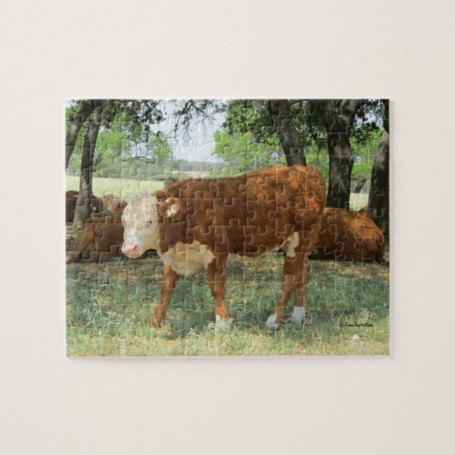 Texas Cow in Pasture Jigsaw Puzzle (Horizontal)