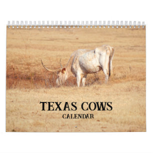 Texas Cows Photographic Calendar