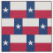 Texas Flag