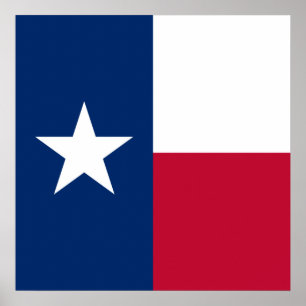 Texas Flag: Longhorns, The Texan Lone Star State Poster