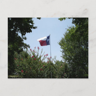Texas Flag Postcard