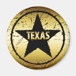 TEXAS GRUNGE STYLE STAR MAGNET