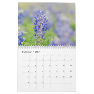 Texas Hill Country Photo Home Decor Calendar