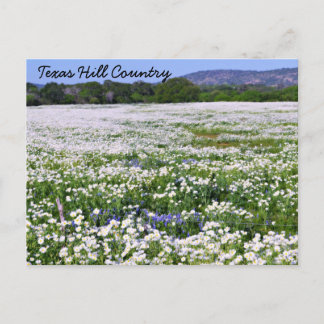 Texas Hill Country Postcard