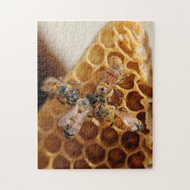 Texas Honeybees | Honeycomb Hive Jigsaw Puzzle (Vertical)