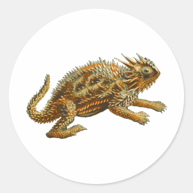 Texas Horned Lizard Classic Round Sticker (Front)