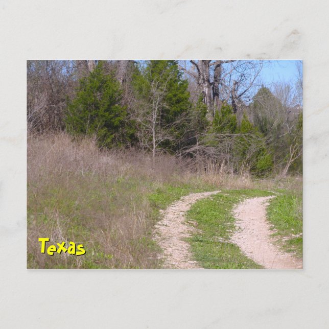 Texas in Spring Postcard (Front)