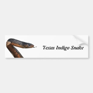 Texas Indigo Snake Bumper Sticker