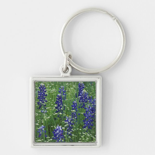 Texas, Lake Buchanan. Texas Bluebonnet and Wild Key Ring (Front)