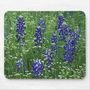 Texas, Lake Buchanan. Texas Bluebonnet and Wild Mouse Pad