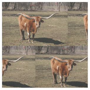 Texas Long Horns! Fabric
