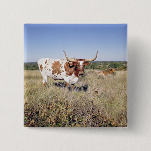 Texas Longhorn Breed (photo) 15 Cm Square Badge