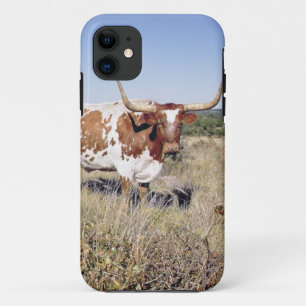 Texas Longhorn Breed (photo) iPhone 11 Case