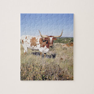 Texas Longhorn Breed (photo) Jigsaw Puzzle