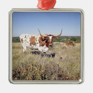 Texas Longhorn Breed (photo) Metal Ornament